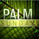 PALM SUNDAY