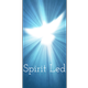 THE BANNERS WE WAVE - SPIRIT LED